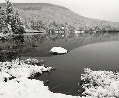 Visitez le site web de la Ville de St-Donat
